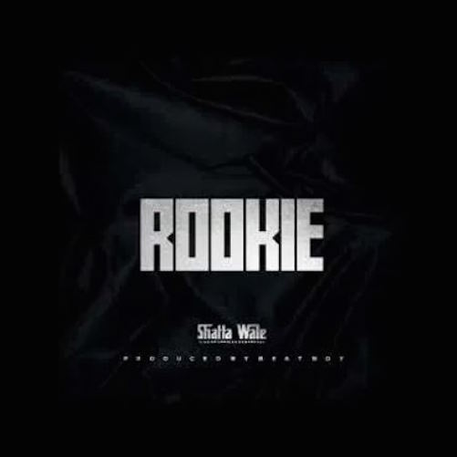 Shatta Wale - Rookie