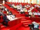 Senate moves to ease visa renewal for Nigerians abroad