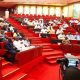 Senate moves to ease visa renewal for Nigerians abroad