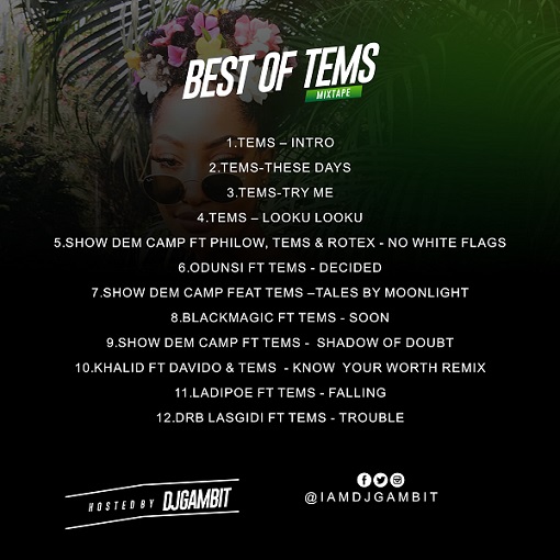 DJ Gambit - Best Of Tems Mix