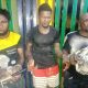 Three armed robbery suspects arrested in Mowe