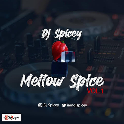 DJ Spicey - Mellow Spice Mix (Vol. 1)