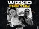 DJ Rado - Wizkid For You (Best Of Wizkid) Mix
