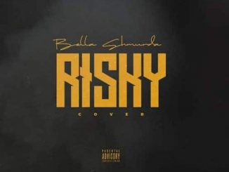 Bella Shmurda - Risky Cover