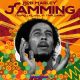 Bob Marley & The Wailers - Jamming (Tropkillaz Remix) Ft. Tiwa Savage