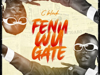Listen to 'Fenu Wu Gate' by C Blvck