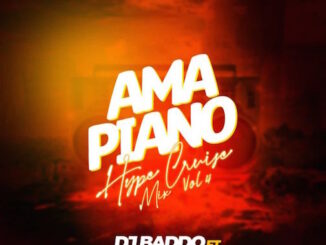 DJ Baddo - Amapiano Hype Cruise Mix Vol 4
