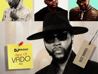 DJ Baddo - Best Of Kizz Daniel (Vado) Mix