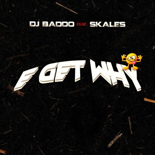 DJ Baddo - E Get Why Ft. Skales