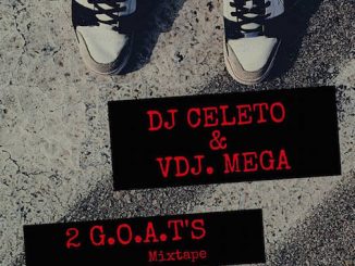 DJ Celeto Vs VDJ Mega - 2 G.O.A.T's Freestyle Mix