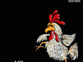 DJ Cora - Ijo Chicken