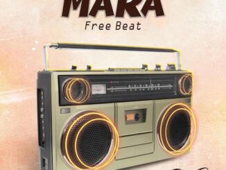 DJ Cora - Mara (Free Beat)