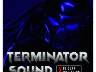 Free Beat: DJ Cora - Terminator Sound Beat Ft. Omo Ebira