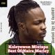 DJ Eazi 007 - Best Of Naira Marley Mix
