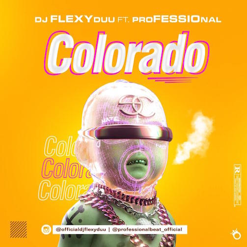 Instrumental DJ Flexy Duu - Colorado Ft. Professional