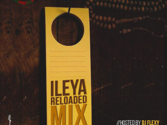 DJ Flexy - ileya Reloaded Mixtape 2023
