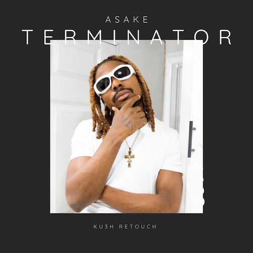 DJ Kush x Asake - Terminator (Kush Rotouch)