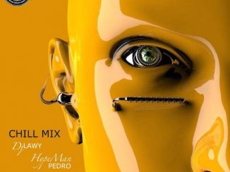 DJ Lawy - Chill Mix 2022 Ft. Hypeman Pedro