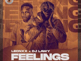DJ Lawy - Feelings Mixtape Ft. Lecnxx