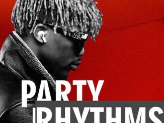 DJ Lawy - Party Rhythms Mix 2023