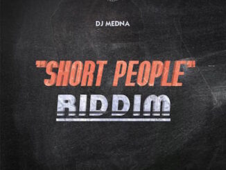 DJ Medna - Short People Riddm