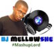 Sean Tizzle - Komole (DJ Mellowshe Remix)
