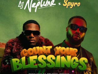 Instrumental: DJ Neptune - Count Your Blessings