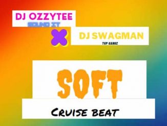 DJ Ozzytee - Soft Cruise Beat Ft. DJ Swagman