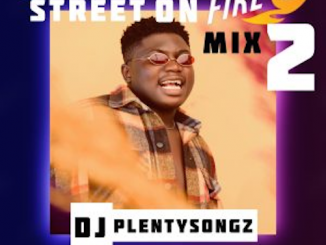 DJ PlentySongz - Street On Fire Mix 2
