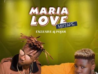 DJ Pojam - Maria Love Mix
