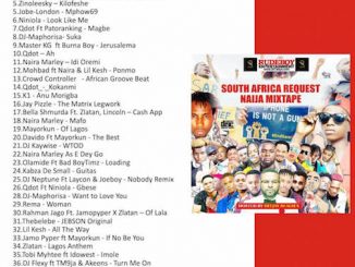 DJ Realsex - South African Request Naija Mix