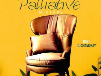 DJ Shamokay - Palliative Mix