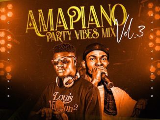 DJ Sidez - Amapiano Party Vibes Mix (Vol 3)