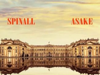 Video DJ Spinall - Palazzo Ft. Asake