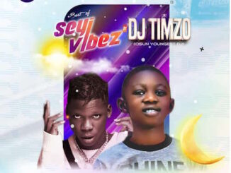DJ Timzo - Best of Seyi Vibez Mix