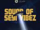 DJ Wizkel - Best Of Seyi Vibez Mix