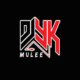 DJ YK Mule - Now You're Talking