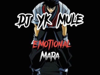 DJ YK Mule - Emotional Mara Beat
