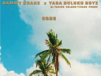 Dammy Krane – Egbe Ft. Yaba Buluku Boyz