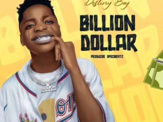 Destiny Boy - Billion Dollar