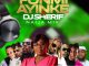 Funmi Ayinke x DJ Sherif - Naija Mix