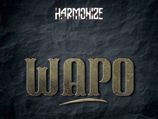 Harmonize - Wapo