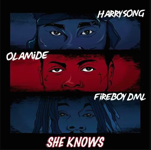 Video Harrysong - She Knows Ft. Fireboy DML & Olamide