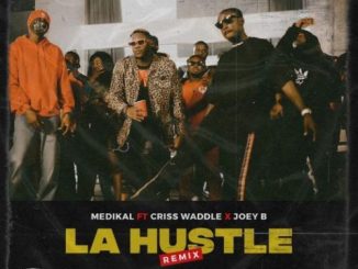 Medikal - La Hustle (Instrumental)
