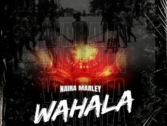 Naira Marley - Wahala (Instrumental)