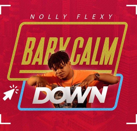 Nolly Flexy - Baby Calm Down