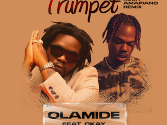 Olamide x CKay - Trumpet (Ku3h Amapiano Remix)