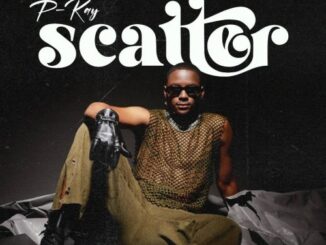 P-Kay - Scatter