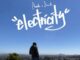 Pheelz – Electricity ft. Davido
