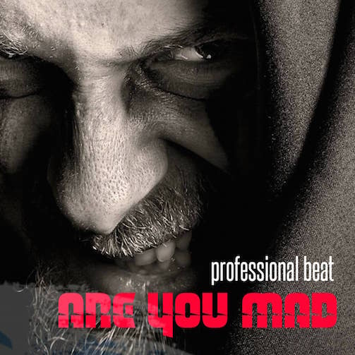 Free Beat Professional - Are You Mad